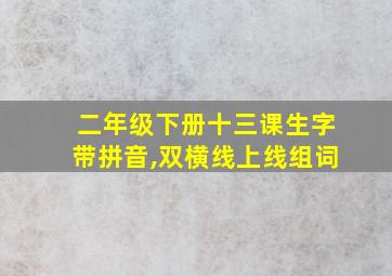 二年级下册十三课生字带拼音,双横线上线组词