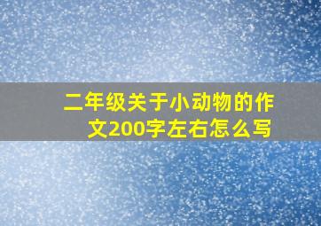 二年级关于小动物的作文200字左右怎么写