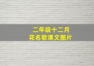 二年级十二月花名歌课文图片