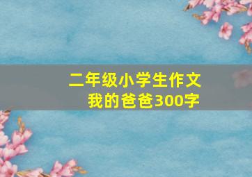 二年级小学生作文我的爸爸300字