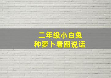 二年级小白兔种萝卜看图说话