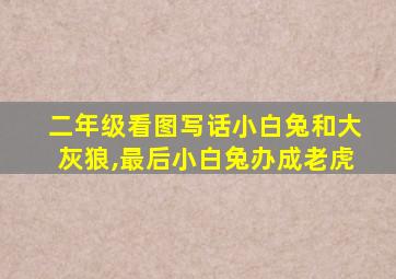 二年级看图写话小白兔和大灰狼,最后小白兔办成老虎