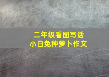 二年级看图写话小白兔种萝卜作文