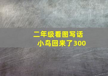 二年级看图写话小鸟回来了300