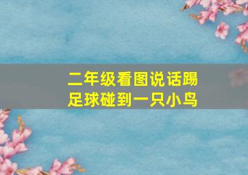 二年级看图说话踢足球碰到一只小鸟