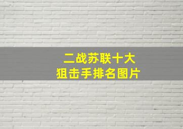 二战苏联十大狙击手排名图片