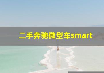 二手奔驰微型车smart