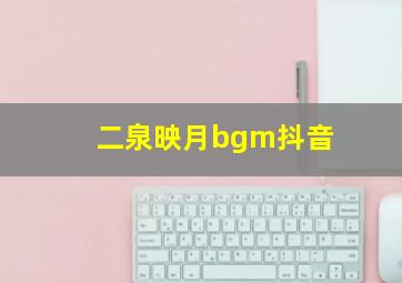 二泉映月bgm抖音