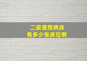 二级医院病床有多少张床位啊