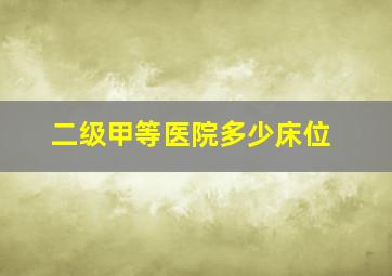 二级甲等医院多少床位