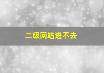 二级网站进不去