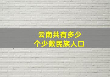 云南共有多少个少数民族人口