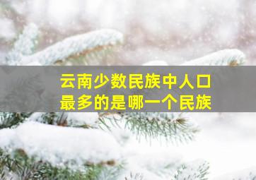 云南少数民族中人口最多的是哪一个民族