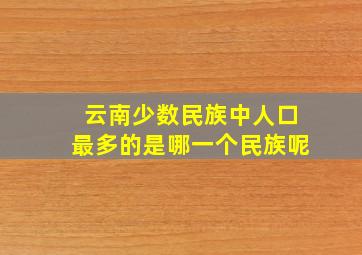 云南少数民族中人口最多的是哪一个民族呢