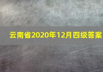 云南省2020年12月四级答案