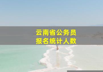 云南省公务员报名统计人数