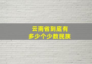 云南省到底有多少个少数民族