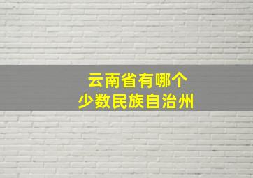 云南省有哪个少数民族自治州