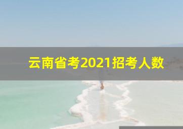 云南省考2021招考人数