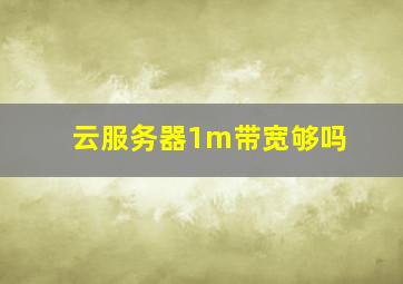 云服务器1m带宽够吗