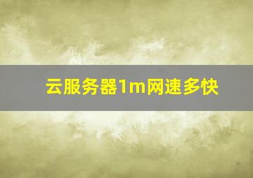 云服务器1m网速多快