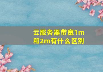 云服务器带宽1m和2m有什么区别