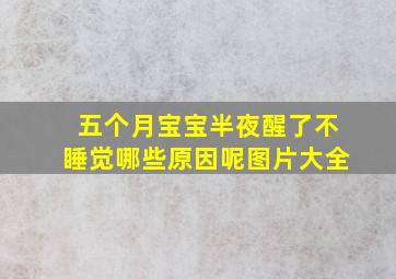 五个月宝宝半夜醒了不睡觉哪些原因呢图片大全