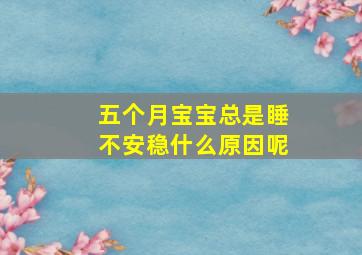 五个月宝宝总是睡不安稳什么原因呢