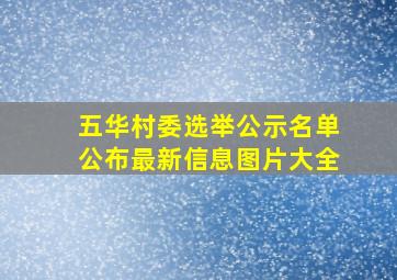 五华村委选举公示名单公布最新信息图片大全