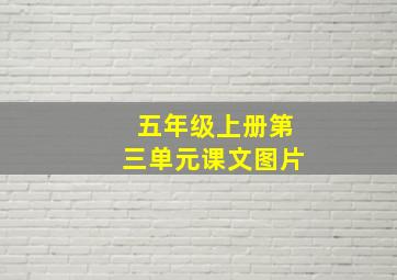 五年级上册第三单元课文图片