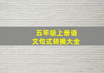 五年级上册语文句式转换大全