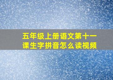 五年级上册语文第十一课生字拼音怎么读视频