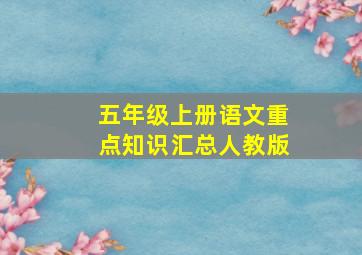 五年级上册语文重点知识汇总人教版