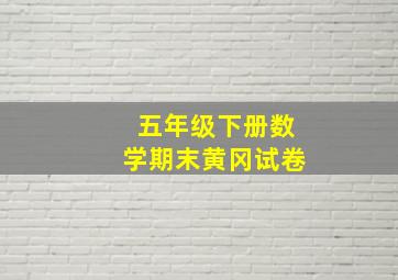 五年级下册数学期末黄冈试卷