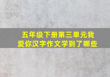 五年级下册第三单元我爱你汉字作文学到了哪些