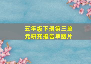 五年级下册第三单元研究报告单图片