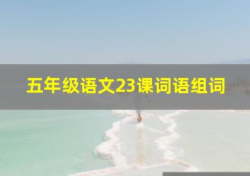 五年级语文23课词语组词