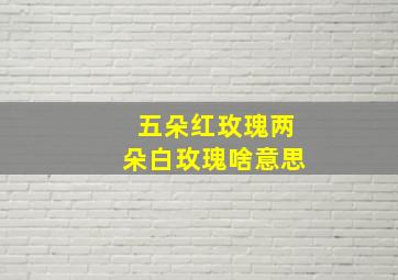 五朵红玫瑰两朵白玫瑰啥意思