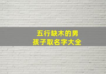 五行缺木的男孩子取名字大全