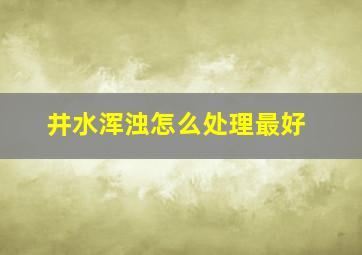 井水浑浊怎么处理最好