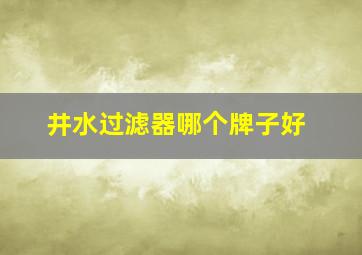 井水过滤器哪个牌子好