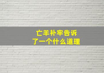 亡羊补牢告诉了一个什么道理