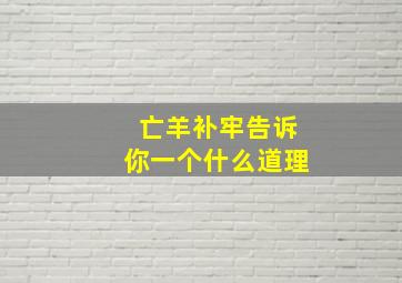 亡羊补牢告诉你一个什么道理