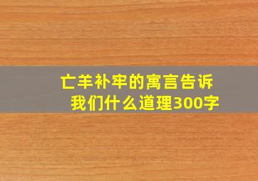 亡羊补牢的寓言告诉我们什么道理300字