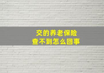 交的养老保险查不到怎么回事