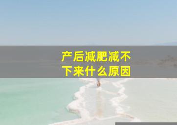 产后减肥减不下来什么原因