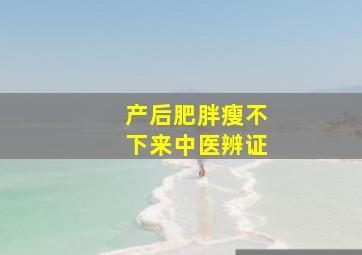 产后肥胖瘦不下来中医辨证