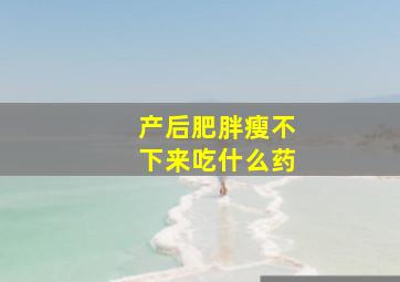 产后肥胖瘦不下来吃什么药