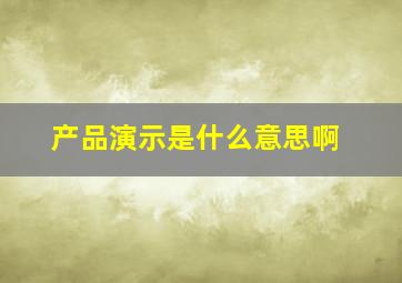 产品演示是什么意思啊