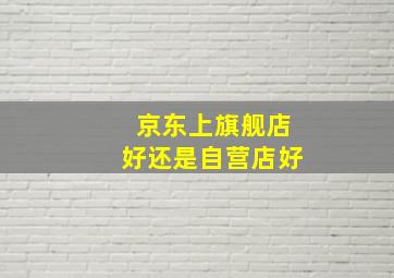 京东上旗舰店好还是自营店好